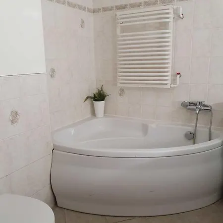 Apartment Duze Mieszkanie - Bitwy Pod Plowcami